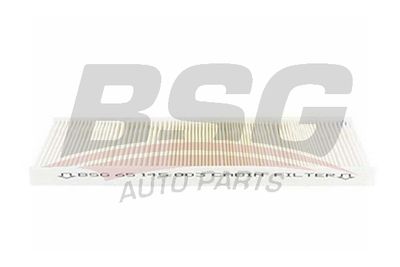 BSG65145003 BSG Фильтр, воздух во внутренном пространстве