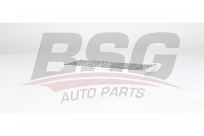 BSG75145009 BSG Фильтр, воздух во внутренном пространстве