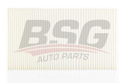 BSG90145009 BSG Фильтр, воздух во внутренном пространстве