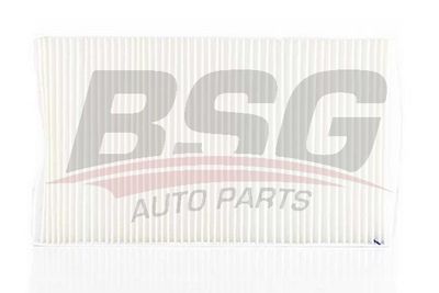 BSG90145006 BSG Фильтр, воздух во внутренном пространстве