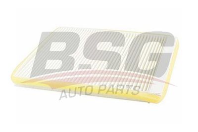 BSG70145005 BSG Фильтр, воздух во внутренном пространстве