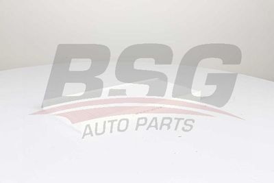 BSG60145017 BSG Фильтр, воздух во внутренном пространстве