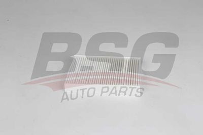 BSG70145024 BSG Фильтр, воздух во внутренном пространстве