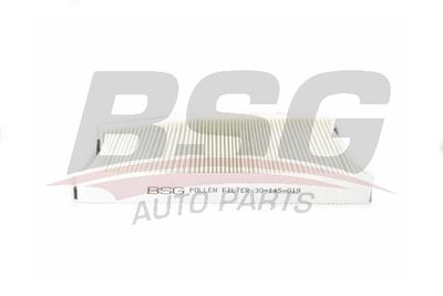 BSG30145019 BSG Фильтр, воздух во внутренном пространстве