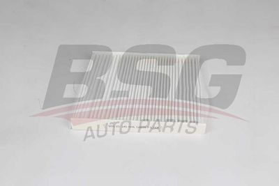 BSG25145005 BSG Фильтр, воздух во внутренном пространстве