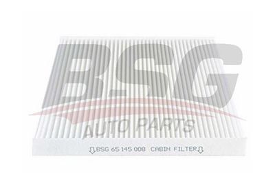 BSG65145008 BSG Фильтр, воздух во внутренном пространстве