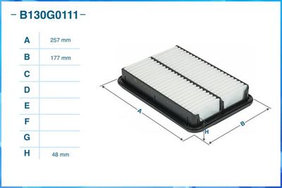B130G0111 CWORKS Воздушный фильтр