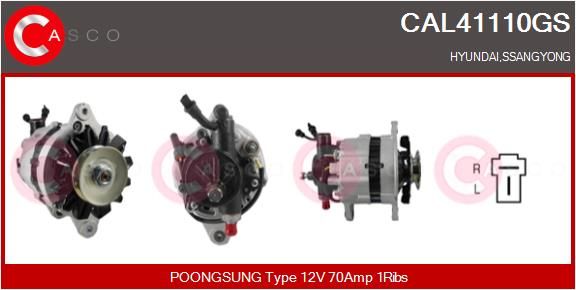 CAL41110GS CASCO Генератор