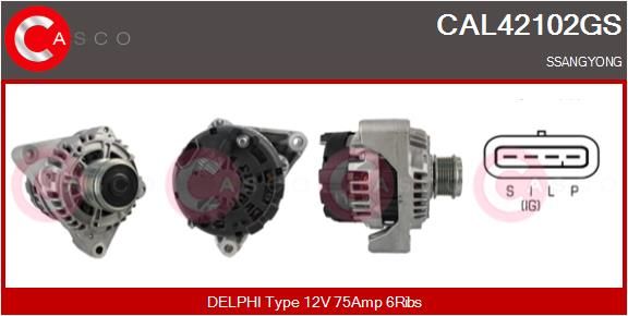 CAL42102GS CASCO Генератор