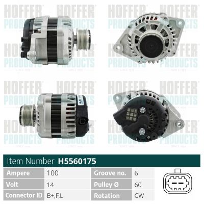H5560175 HOFFER Генератор