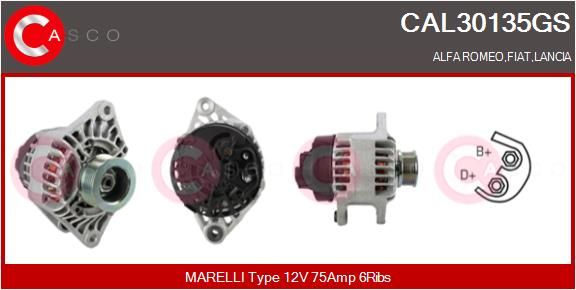 CAL30135GS CASCO Генератор