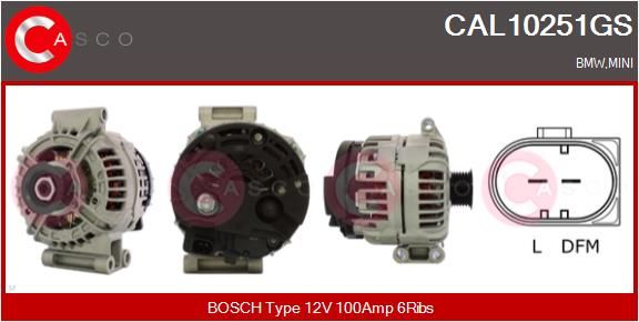 CAL10251GS CASCO Генератор