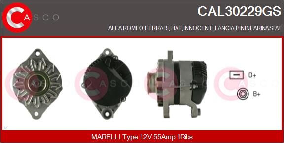 CAL30229GS CASCO Генератор