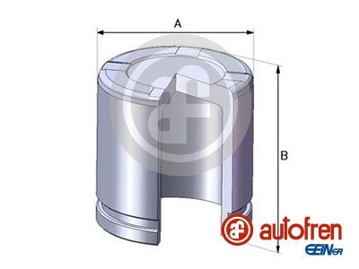 D02550 AUTOFREN SEINSA Поршень, корпус скобы тормоза