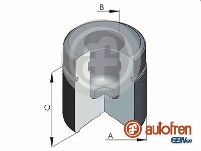 D025224 AUTOFREN SEINSA Поршень, корпус скобы тормоза