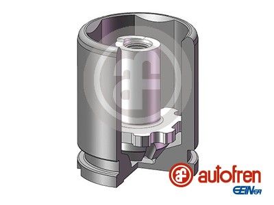 D025543K AUTOFREN SEINSA Поршень, корпус скобы тормоза