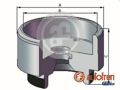 D025721 AUTOFREN SEINSA Поршень, корпус скобы тормоза