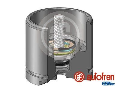 D025256LK AUTOFREN SEINSA Поршень, корпус скобы тормоза