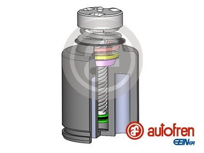 D025234LK AUTOFREN SEINSA Поршень, корпус скобы тормоза