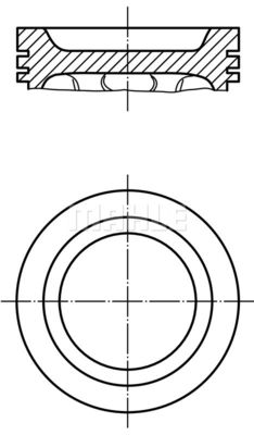 WG1264449 WILMINK GROUP Поршень