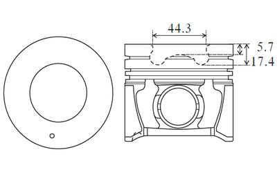 PK29000 FAI AutoParts Поршень