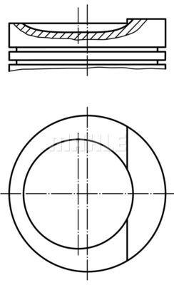 WG1212441 WILMINK GROUP Поршень