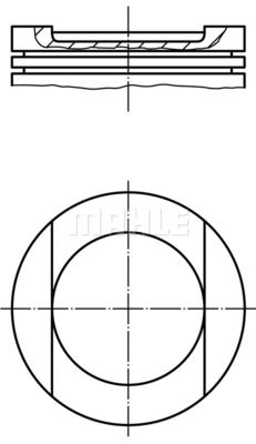 WG1212369 WILMINK GROUP Поршень