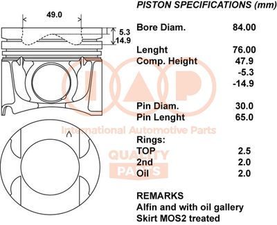 10013172 IAP QUALITY PARTS Поршень