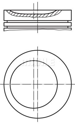 WG1200216 WILMINK GROUP Поршень