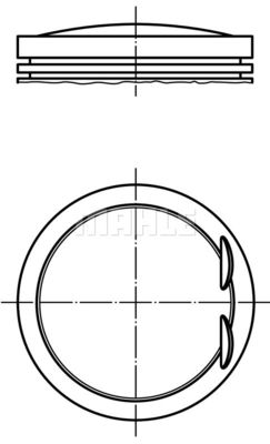 WG1821716 WILMINK GROUP Поршень