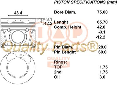 10021078 IAP QUALITY PARTS Поршень