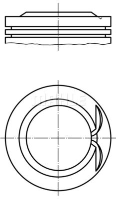 WG1212658 WILMINK GROUP Поршень