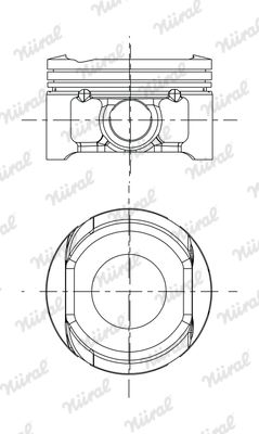 8743770700 NÜRAL Поршень
