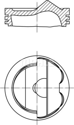 WG1104342 WILMINK GROUP Поршень