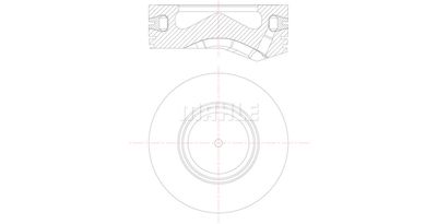 WG1309225 WILMINK GROUP Поршень