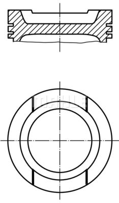 WG1104447 WILMINK GROUP Поршень