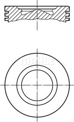 007PI00102001 MAHLE Поршень