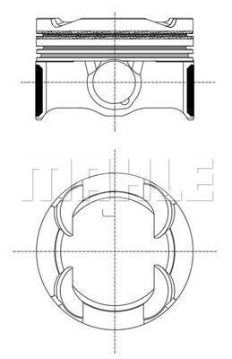 WG2264125 WILMINK GROUP Поршень