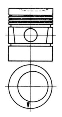 WG1021957 WILMINK GROUP Поршень