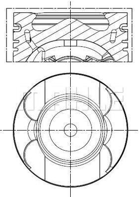 WG2191739 WILMINK GROUP Поршень