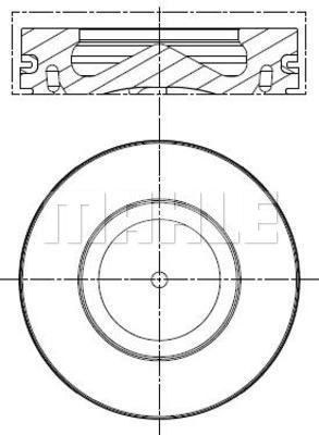 WG1261173 WILMINK GROUP Поршень