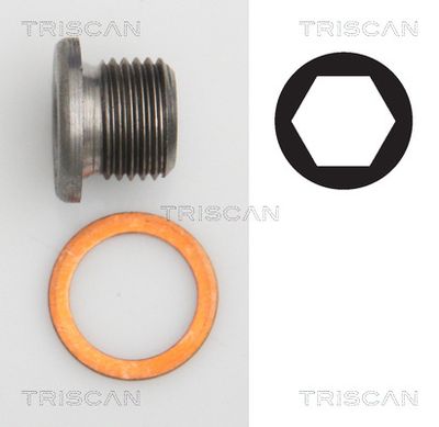 95002403 TRISCAN Резьбовая пробка, масляный поддон