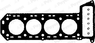 AN300 PAYEN Прокладка, головка цилиндра