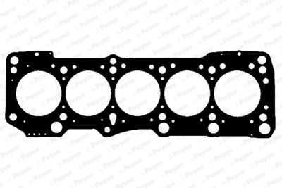 AF5360 PAYEN Прокладка, головка цилиндра
