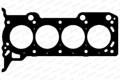 AG9920 PAYEN Прокладка, головка цилиндра