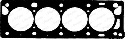 BS790 PAYEN Прокладка, головка цилиндра