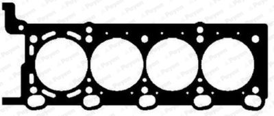 AC5371 PAYEN Прокладка, головка цилиндра