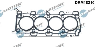 DRM18210 Dr.Motor Automotive Прокладка, головка цилиндра