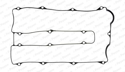 JN717 PAYEN Прокладка, крышка головки цилиндра