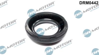 DRM0442 Dr.Motor Automotive Прокладка, крышка головки цилиндра